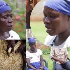 Ghana : une mère, ses 2 filles et un bébé emprisonnés pour avoir volé du maïs